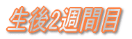 ����2�T�Ԗ� 
