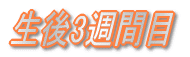 ����2�T�Ԗ� 